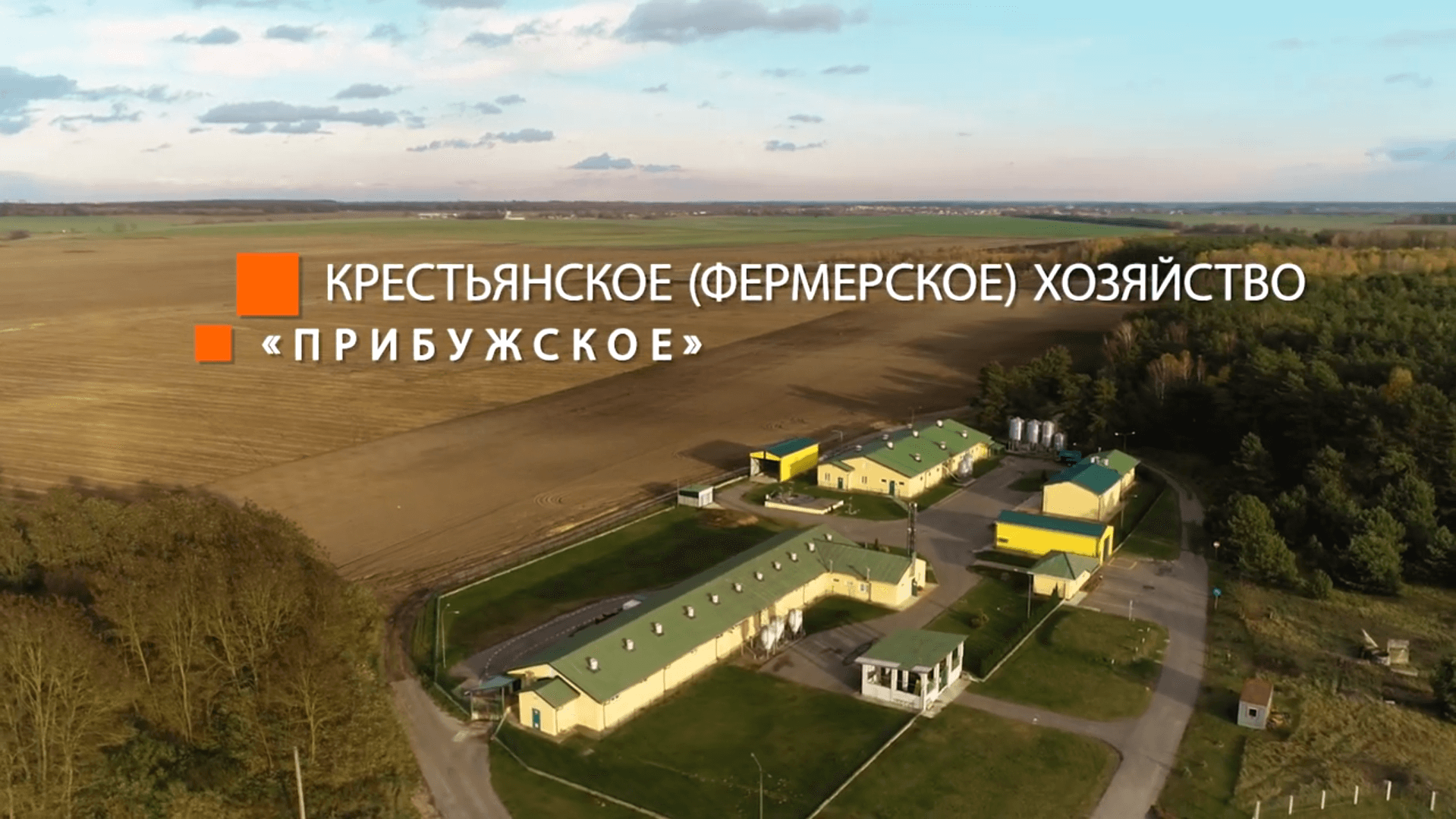 Видео превью